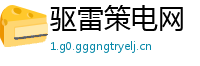驱雷策电网